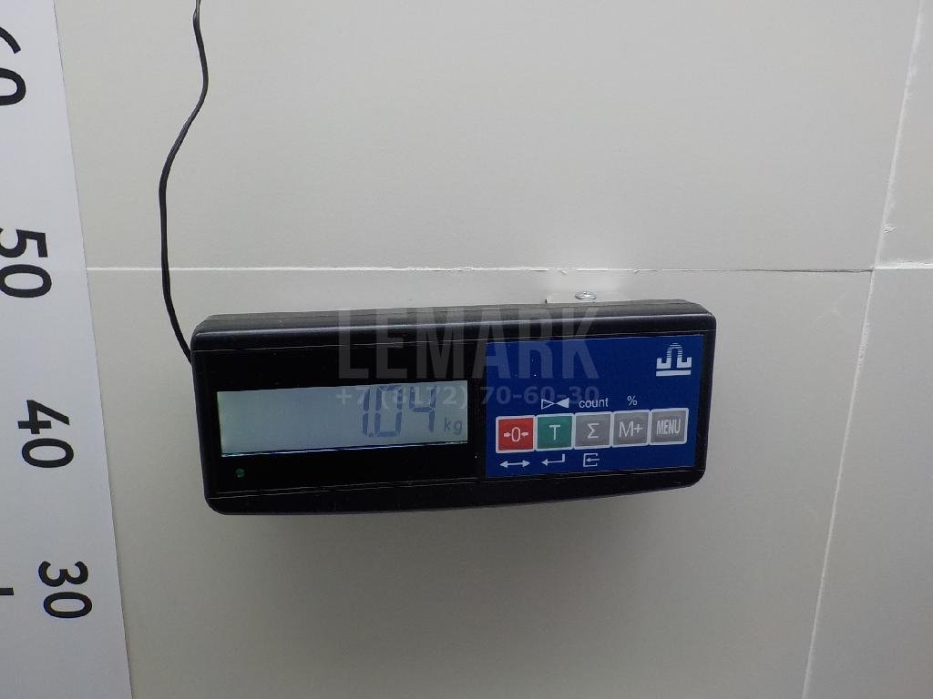 Ремень безопасности