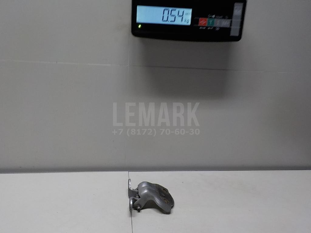 Петля двери задней левой нижняя