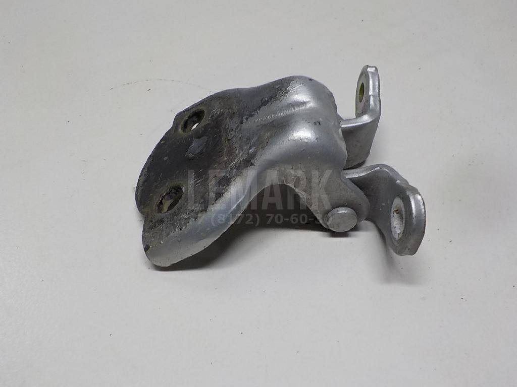 Петля двери задней левой нижняя