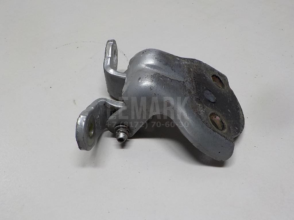 Петля двери задней левой нижняя