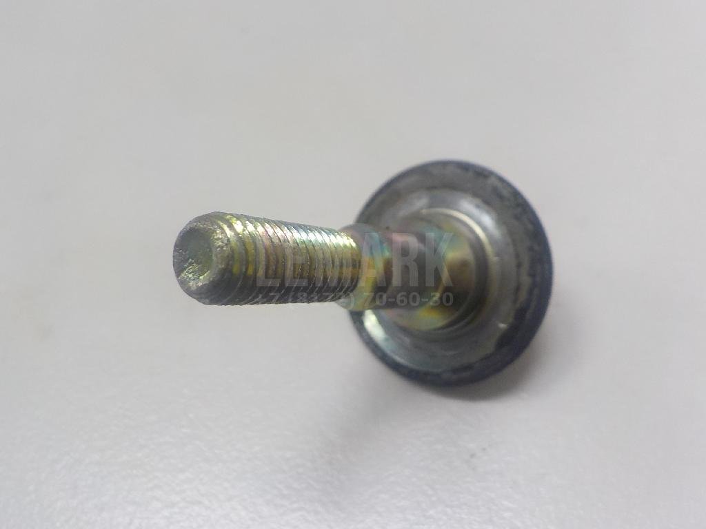 Болт ролика-натяжителя