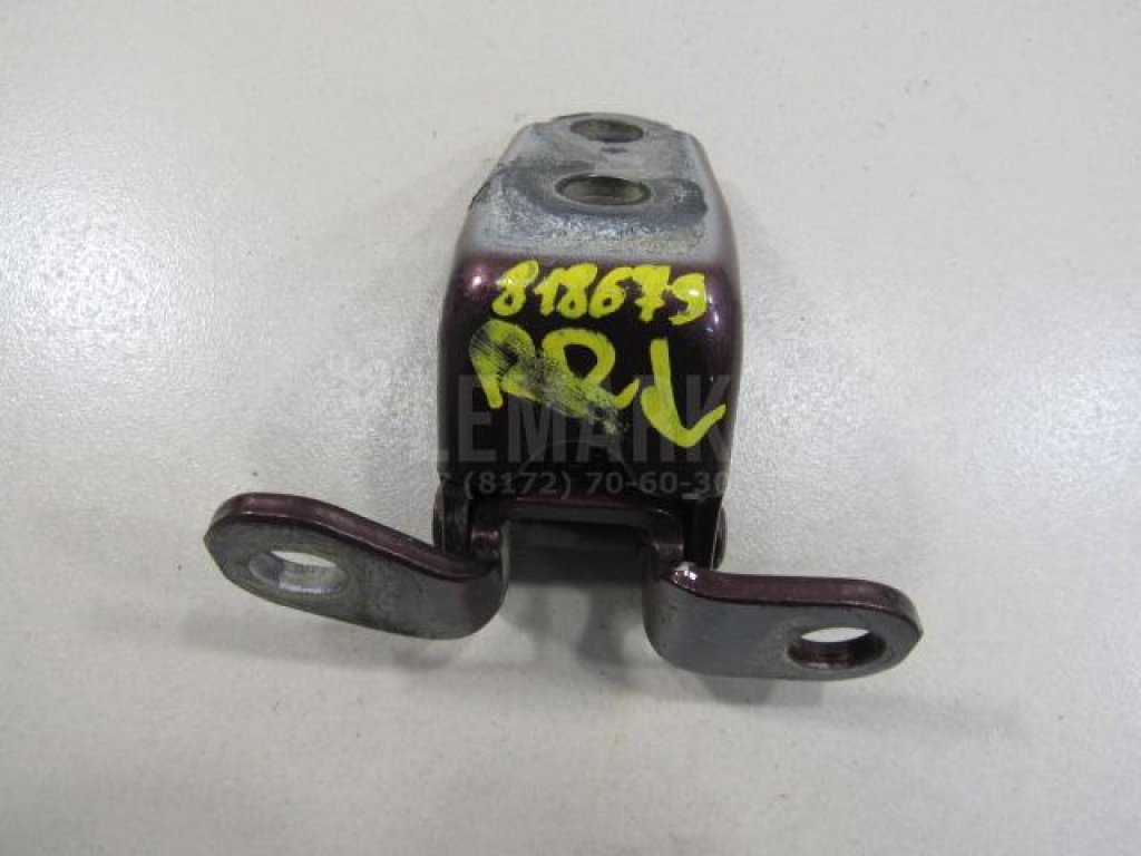 Петля двери задней правой нижняя