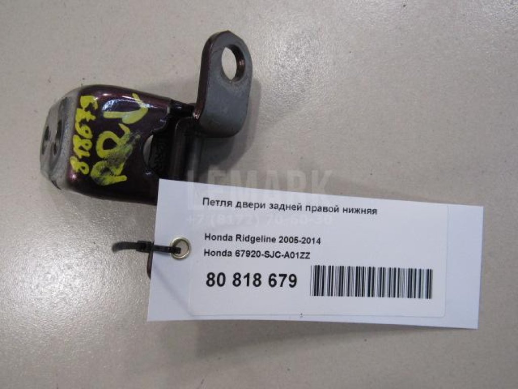 Петля двери задней правой нижняя