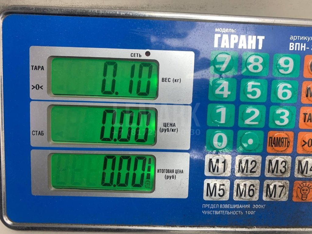 Форсунка инжекторная электрическая