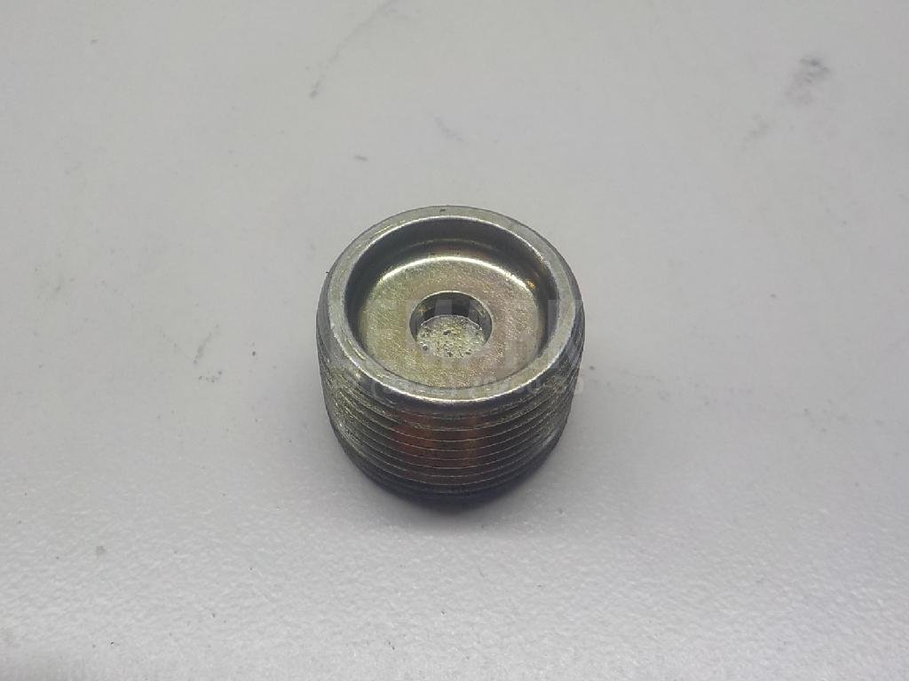 Пробка маслосливная дифференциала