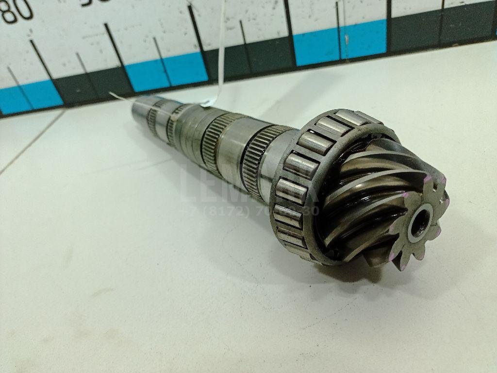 Пара главная