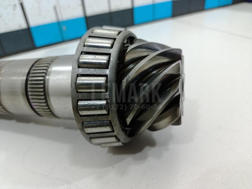 Пара главная