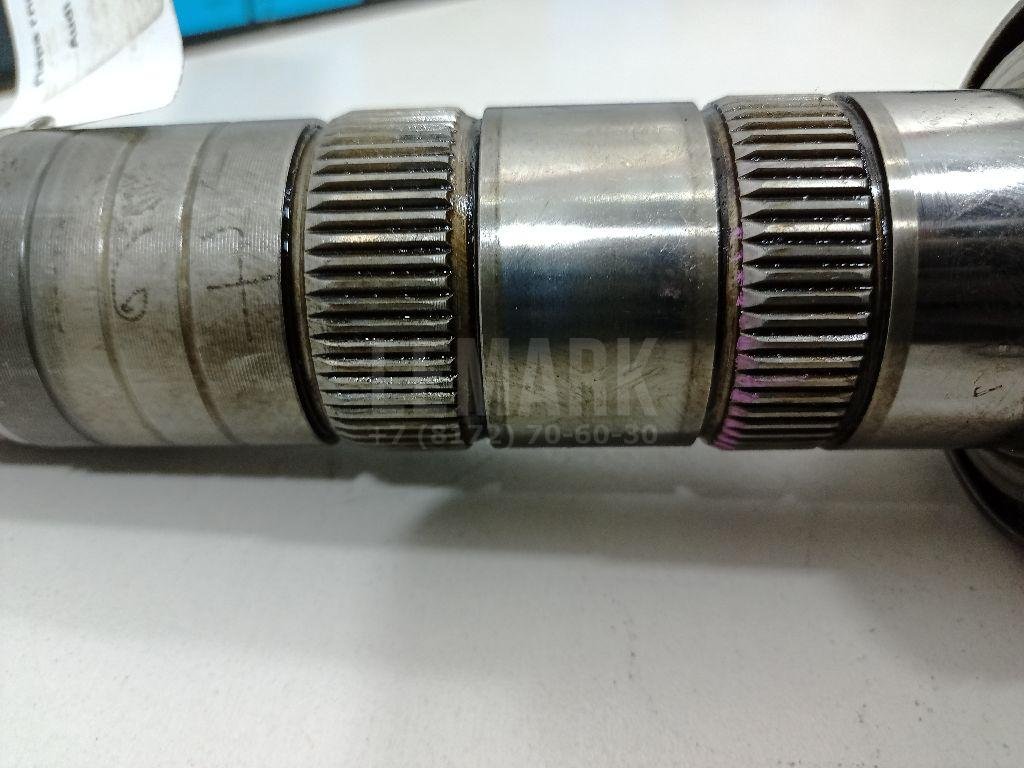 Пара главная