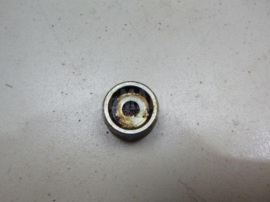 Пробка маслосливная дифференциала