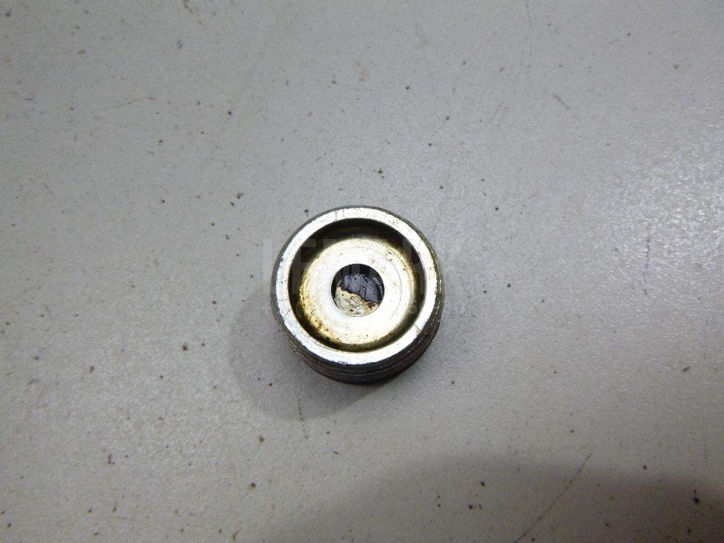 Пробка маслосливная дифференциала