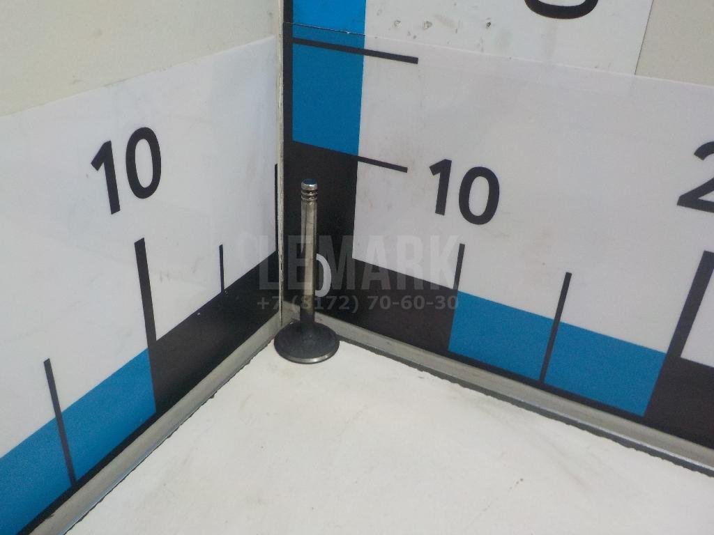 Клапан впускной для  Audi A3 [8P1] 2003-2013