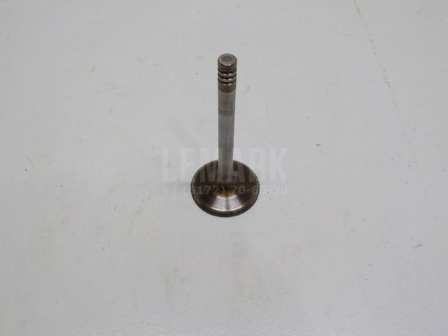 Клапан впускной