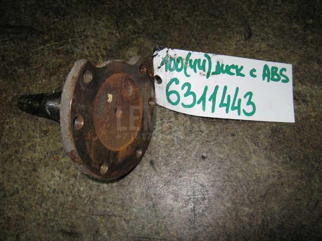 Цапфа (п.з.к.)