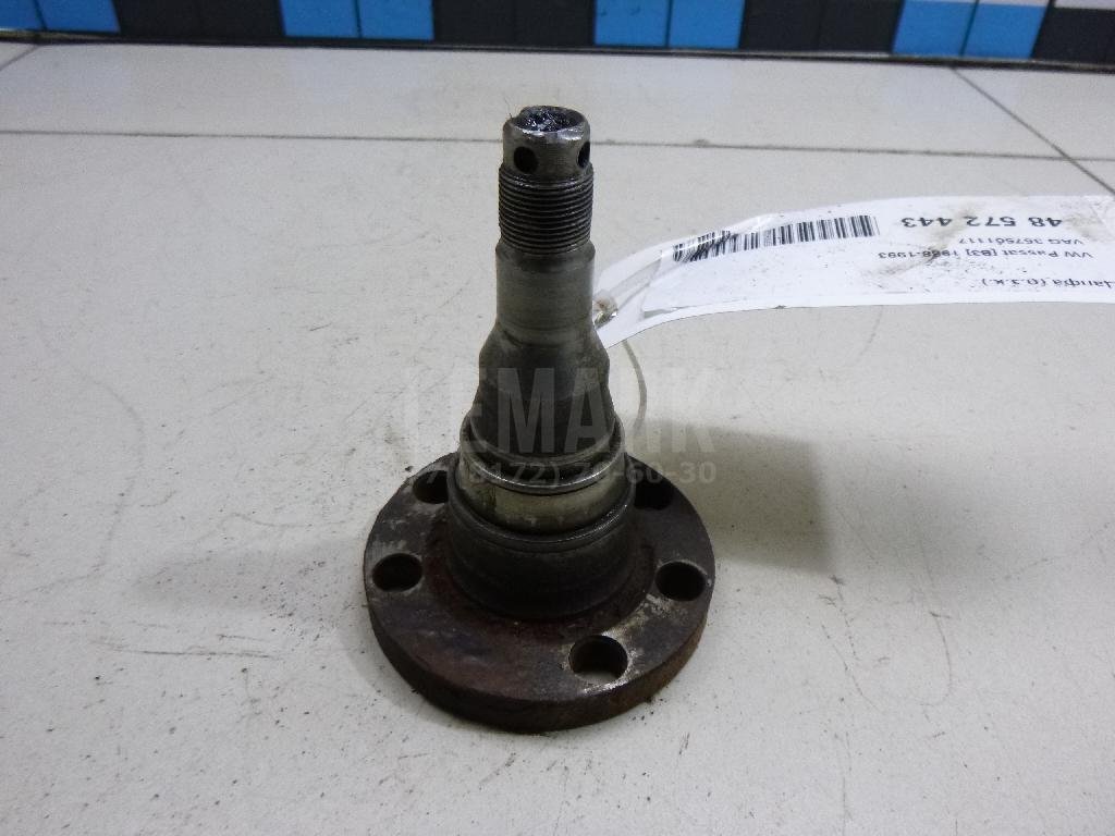 Цапфа (п.з.к.)