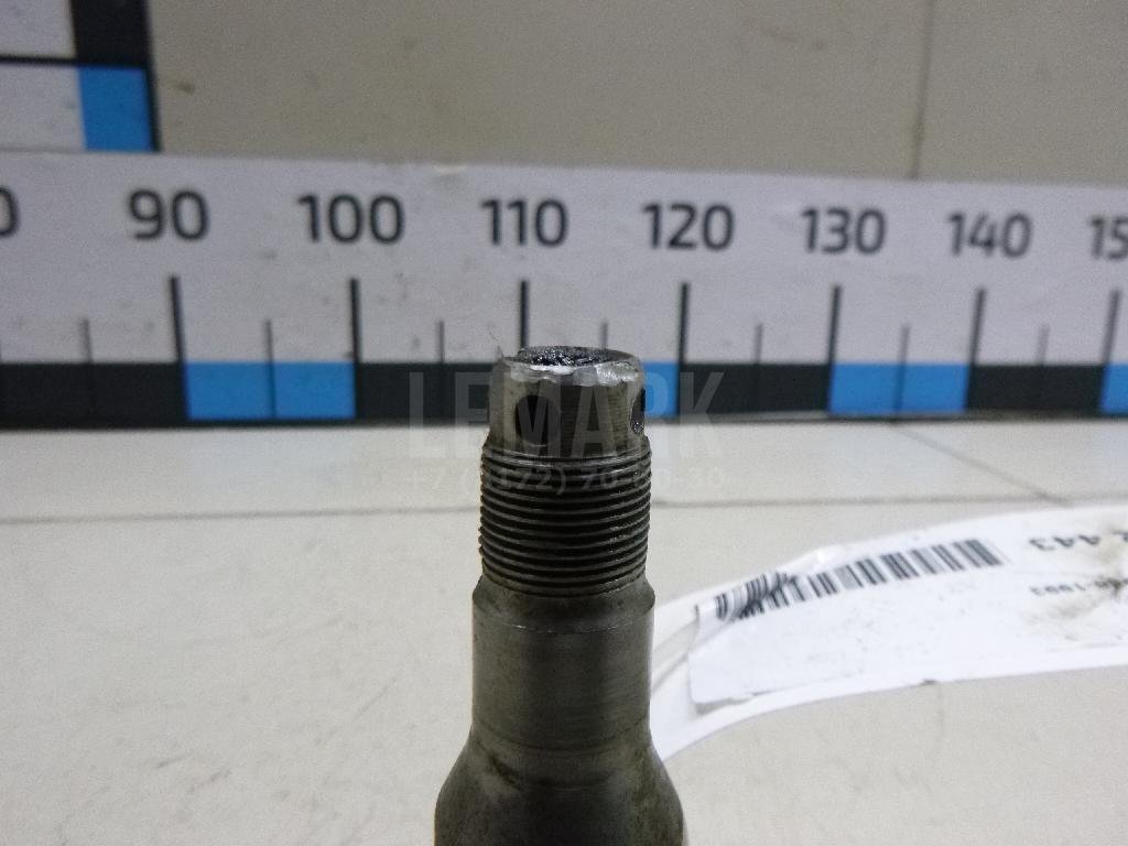 Цапфа (п.з.к.)