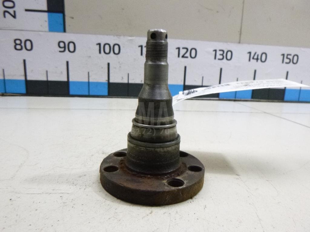 Цапфа (п.з.к.)