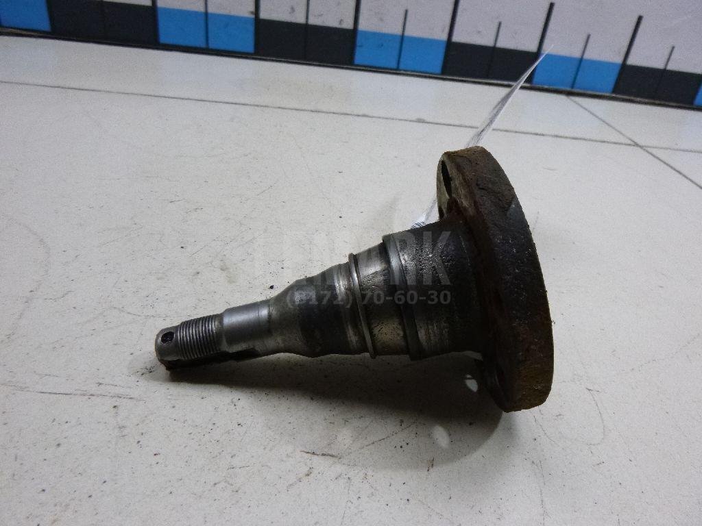 Цапфа (п.з.к.)