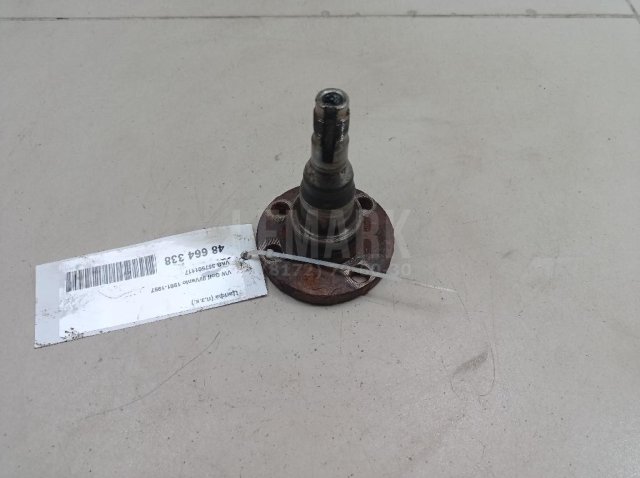 Цапфа (п.з.к.)