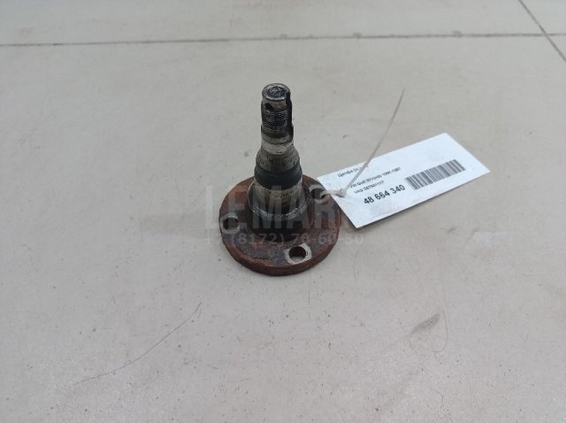 Цапфа (п.з.к.)