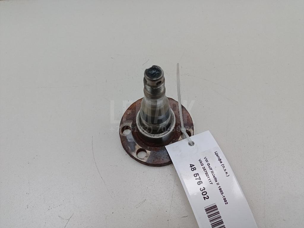 Цапфа (п.з.к.)