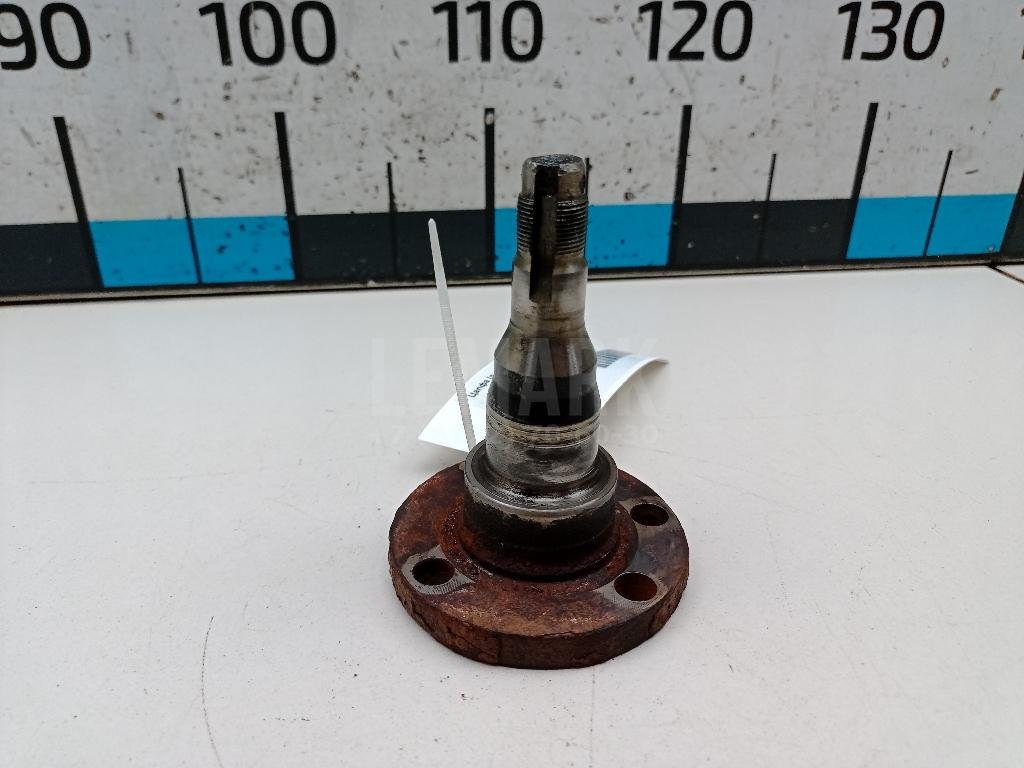 Цапфа (п.з.к.)