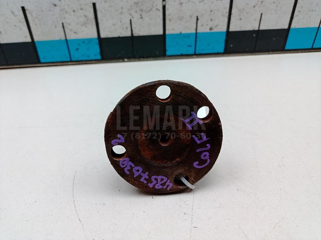 Цапфа (п.з.к.)