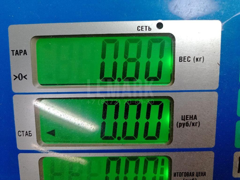 Цапфа (п.з.к.)