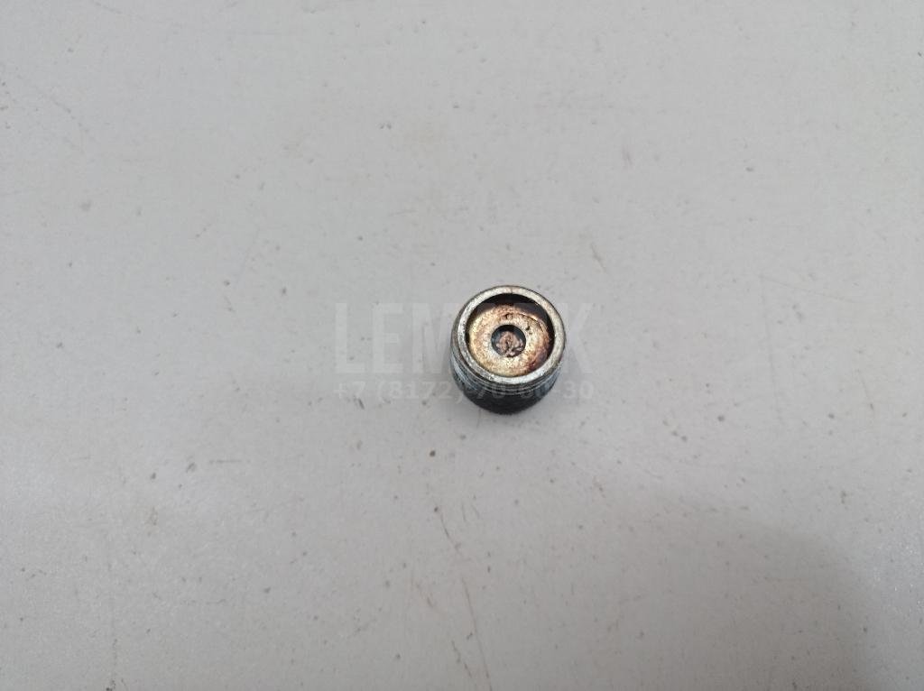 Пробка маслосливная дифференциала