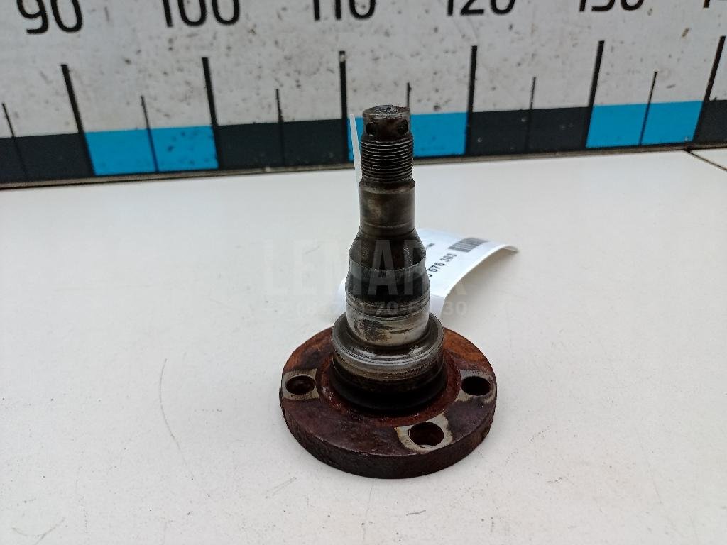 Цапфа (п.з.к.)