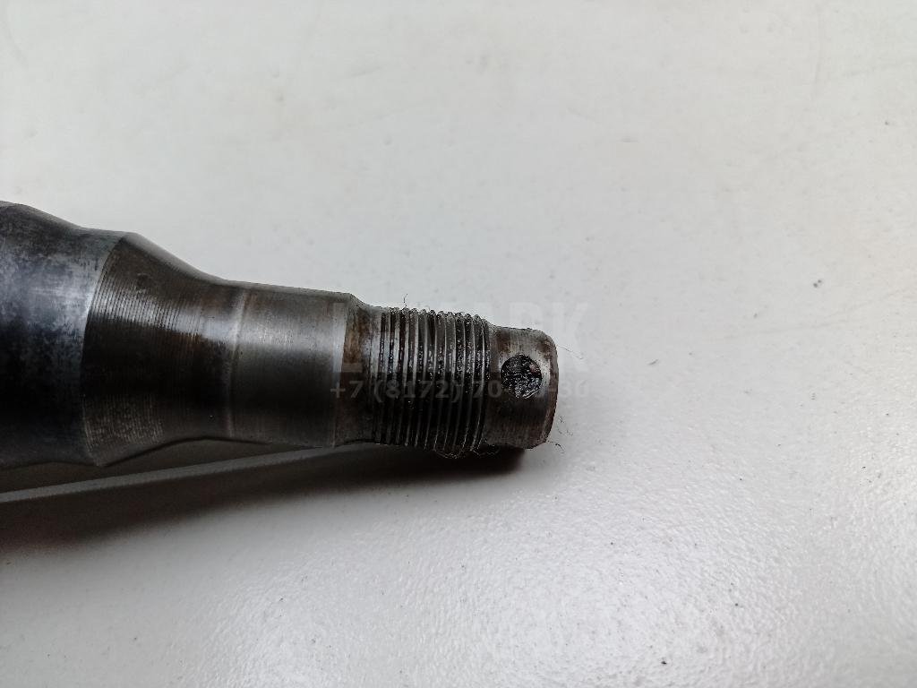 Цапфа (п.з.к.)