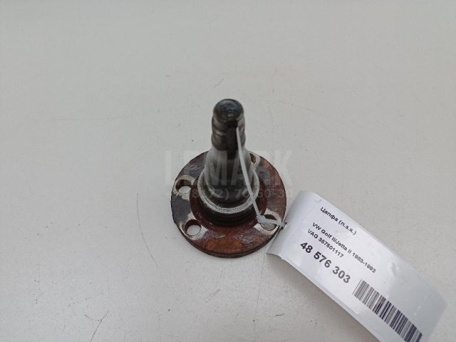 Цапфа (п.з.к.)