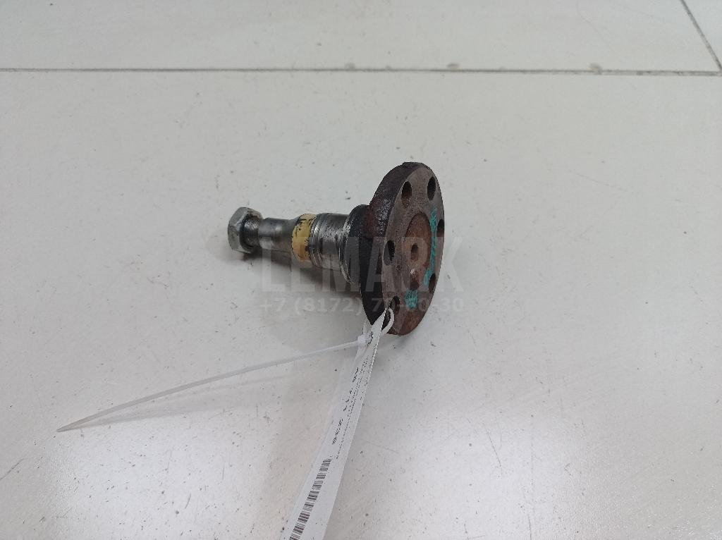 Цапфа (п.з.к.)