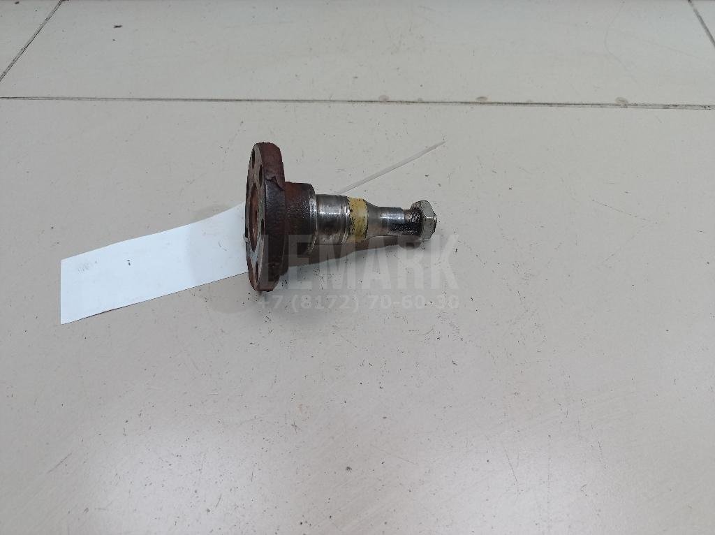 Цапфа (п.з.к.)