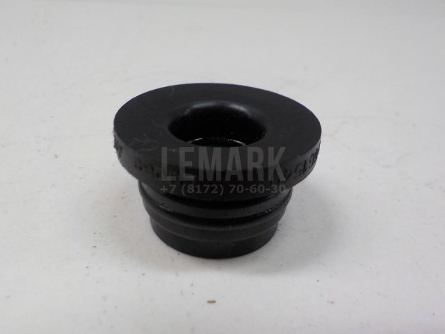 Кольцо уплотнительное (двигатель)