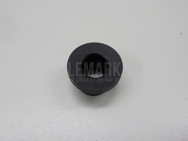 Кольцо уплотнительное (двигатель)