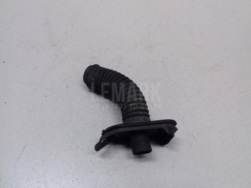 Гофра для  Audi A5/S5 (F5) 2017