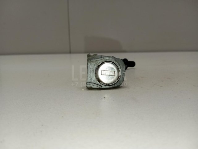 Вставка замка двери лев.