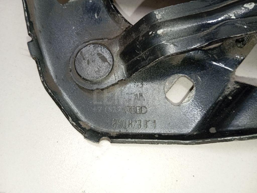 Петля капота левая