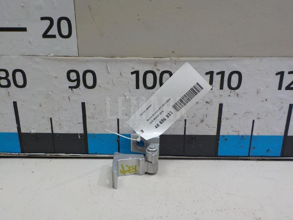 Петля двери