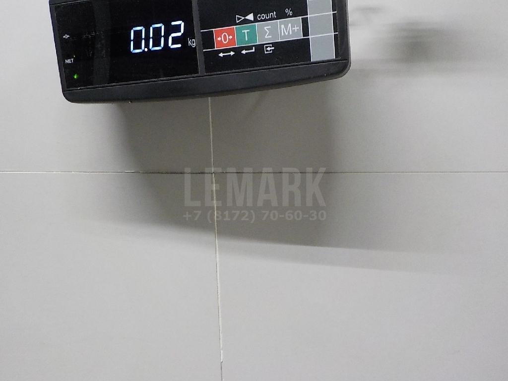 Плафон салонный