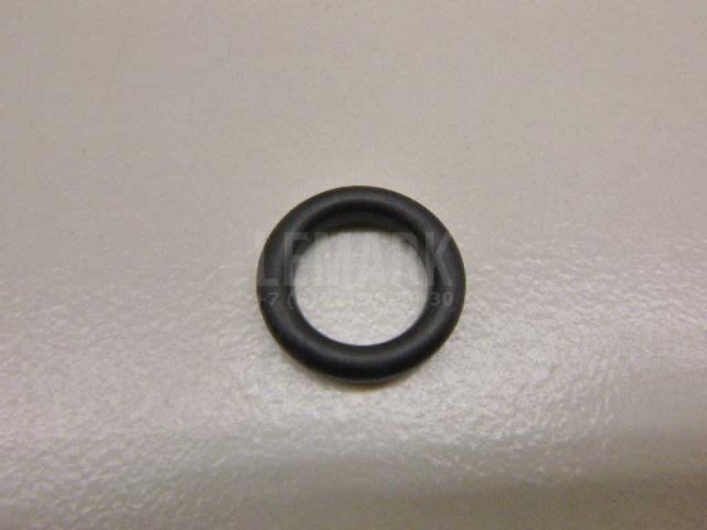 Кольцо уплотнительное (двигатель)