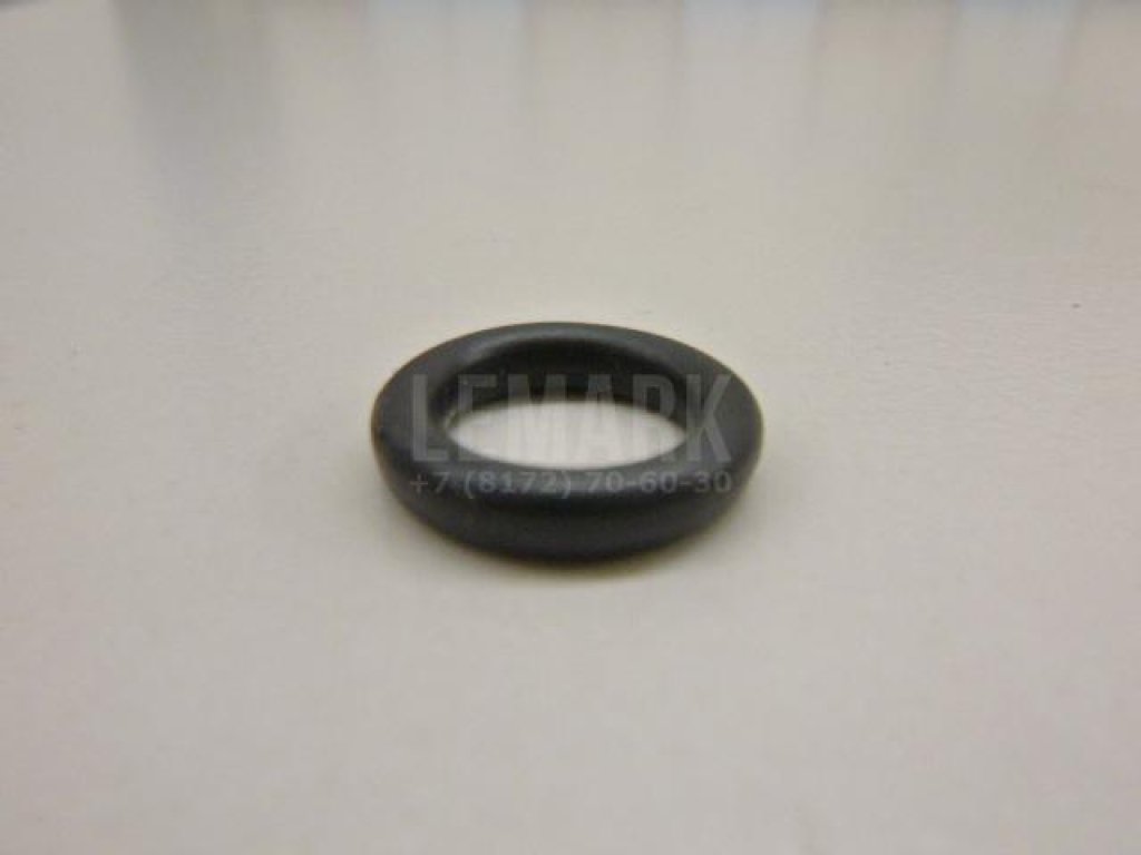 Кольцо уплотнительное (двигатель)
