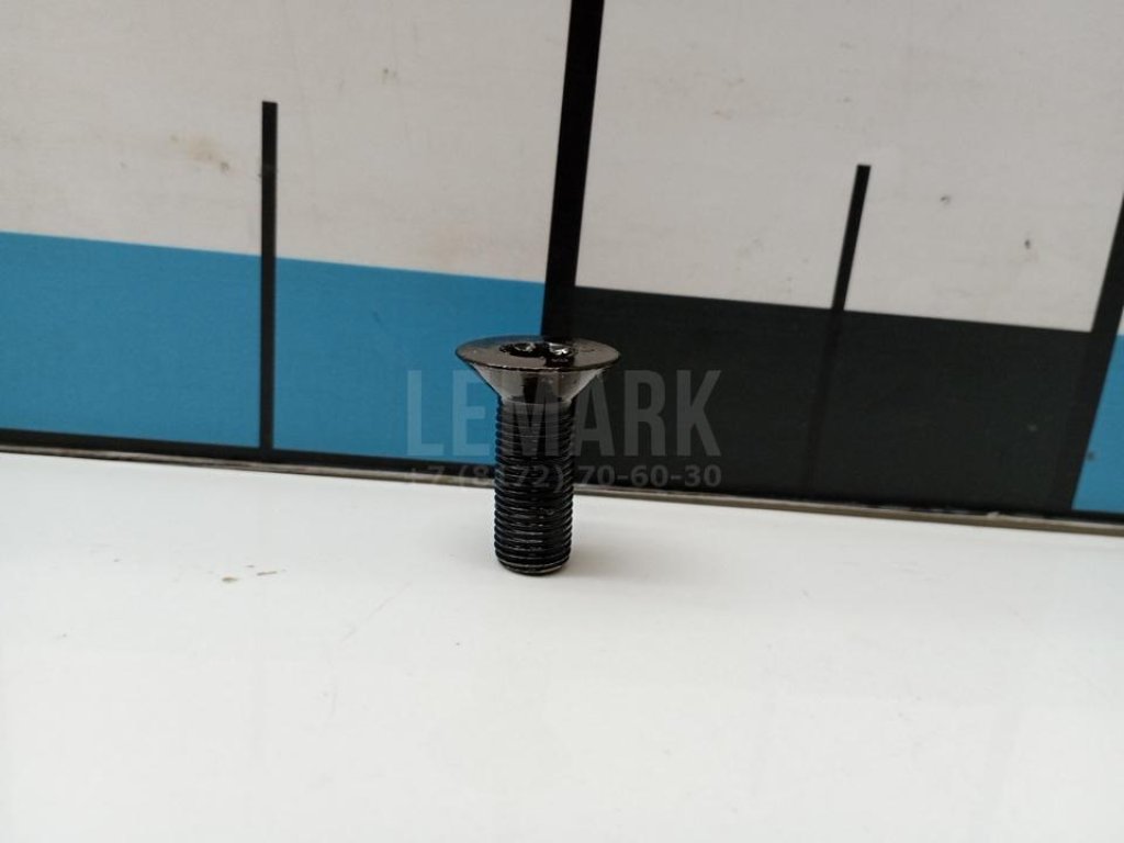 Болт распредвала для  Audi A4 [B7] 2005-2007