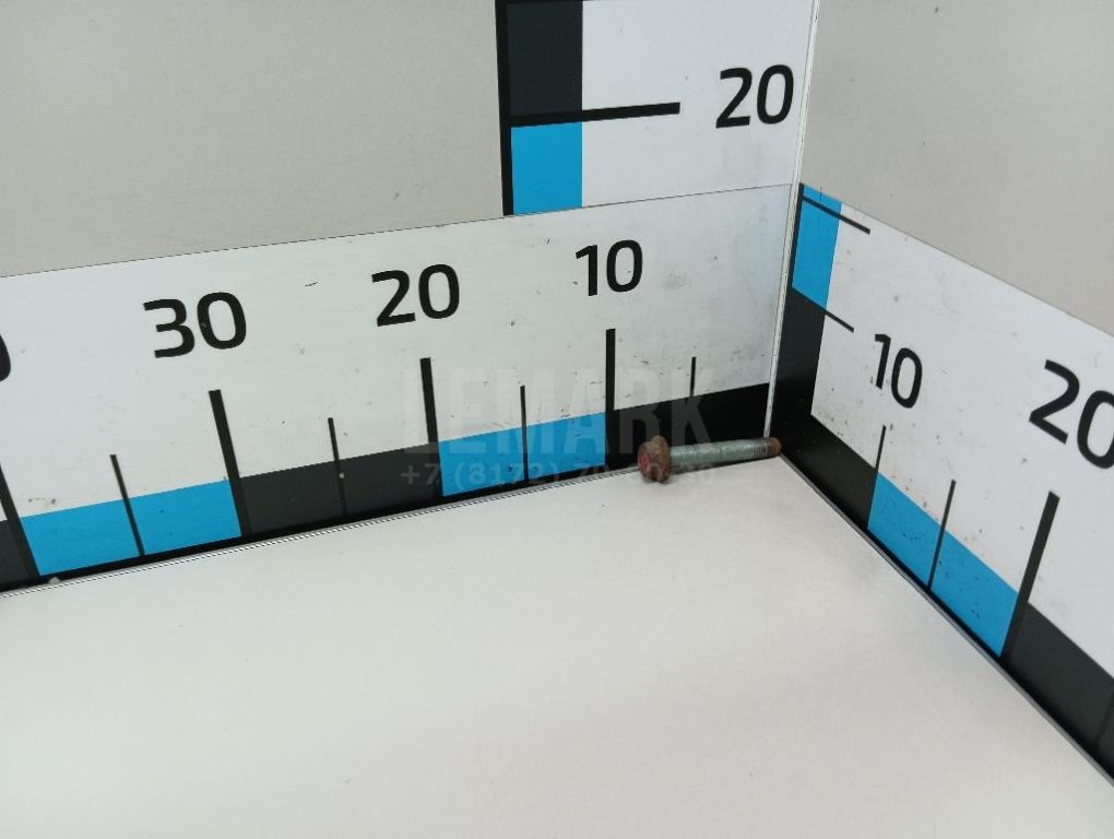 Болт заднего рычага