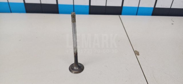 Клапан выпускной