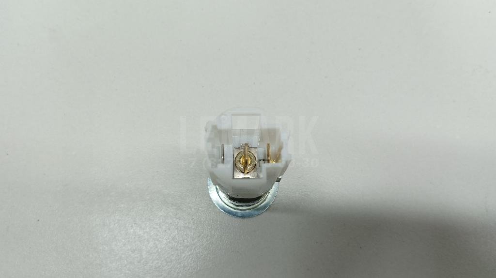 Гнездо прикуривателя