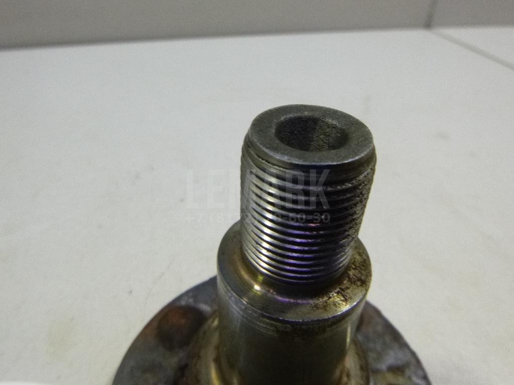 Цапфа (п.з.к.)