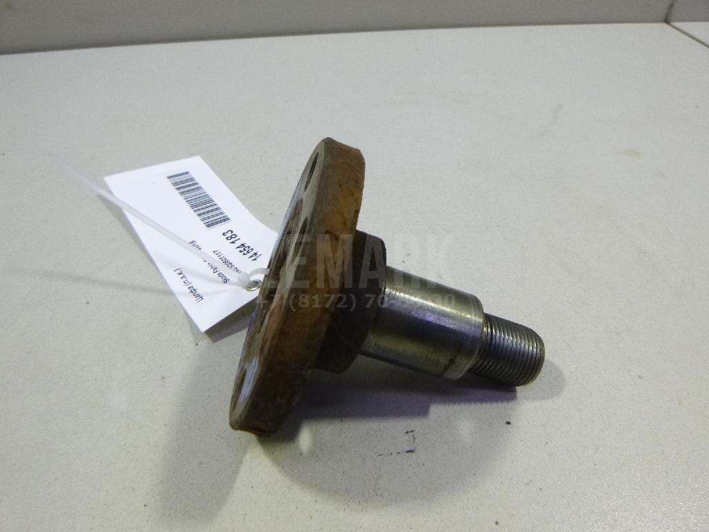 Цапфа (п.з.к.)