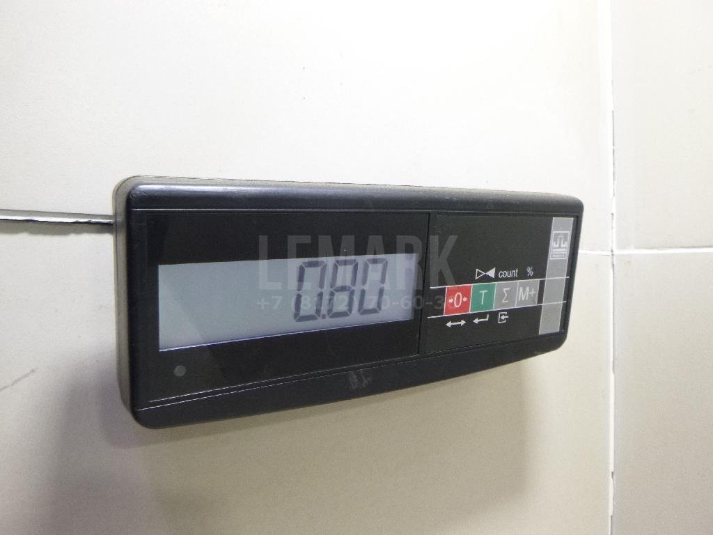 Цапфа (п.з.к.)