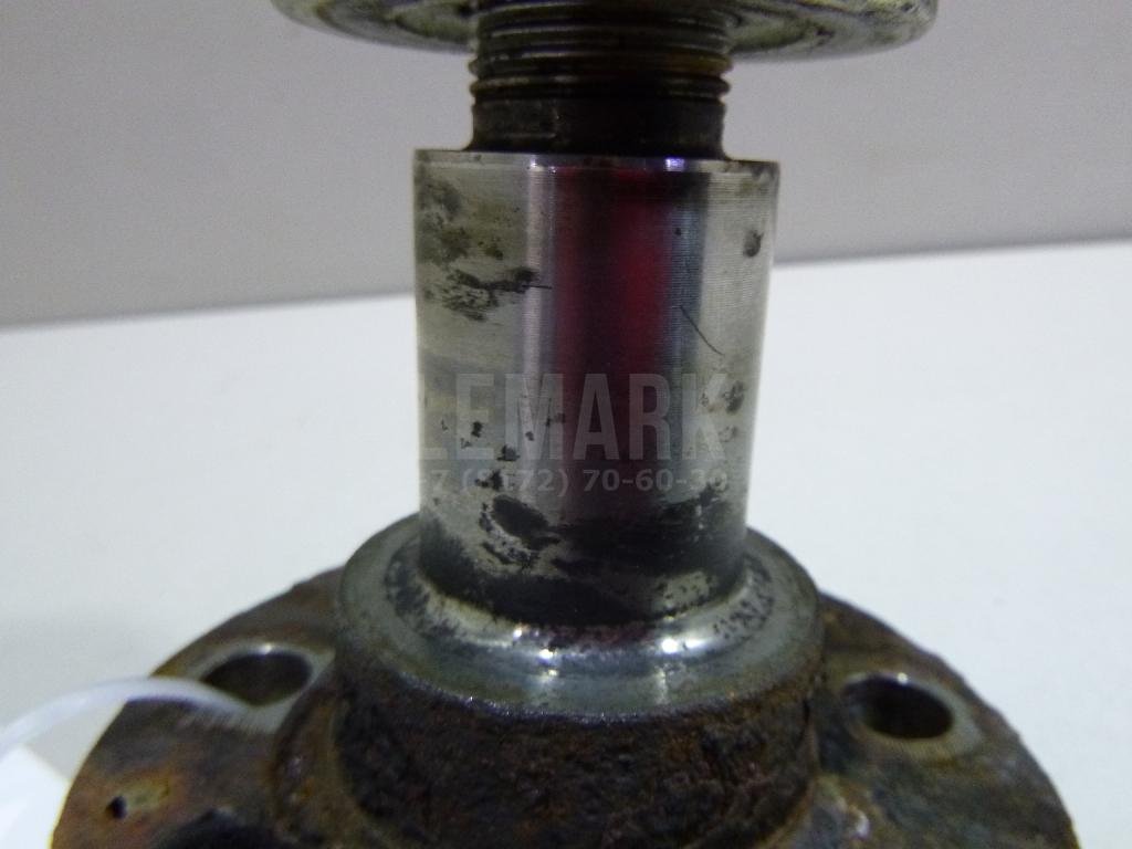 Цапфа (п.з.к.)